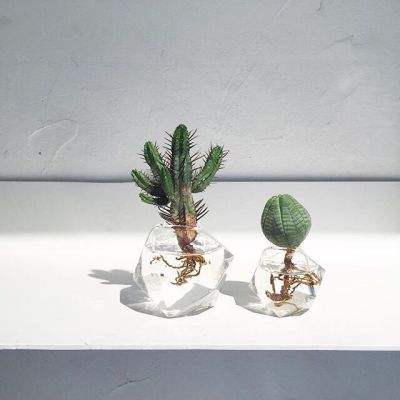 m6米乐官方app下载